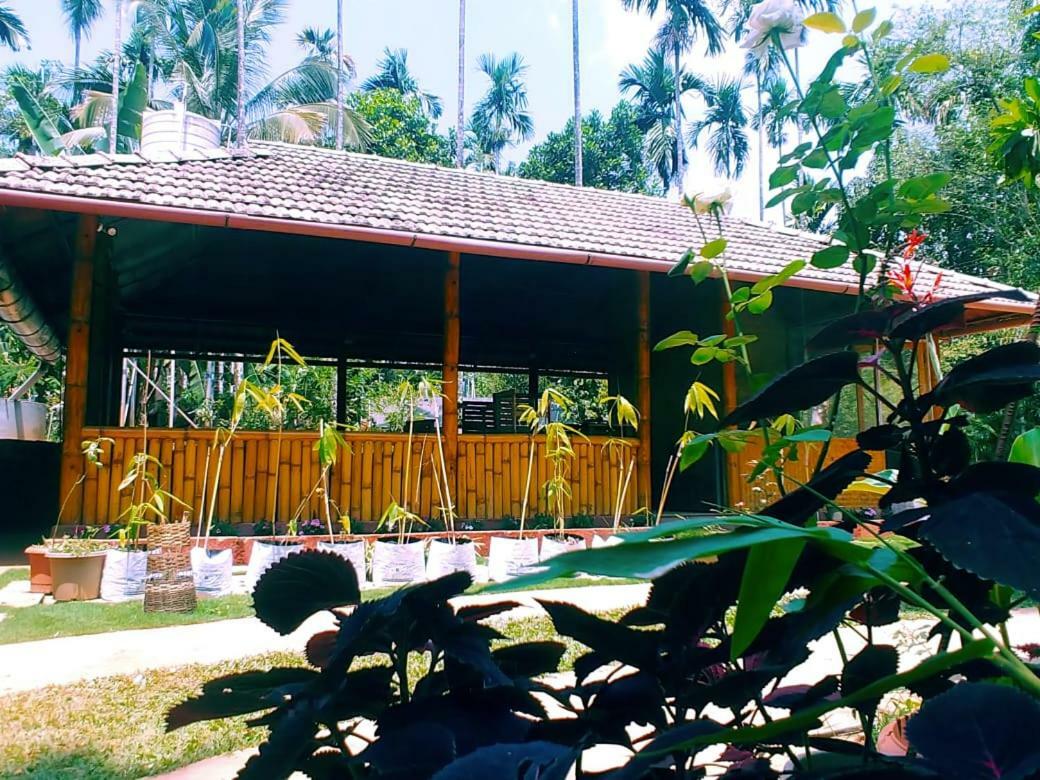Misty Mornings Resort Ambalavayal Экстерьер фото