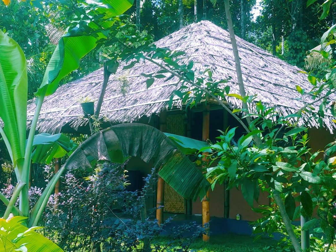 Misty Mornings Resort Ambalavayal Экстерьер фото