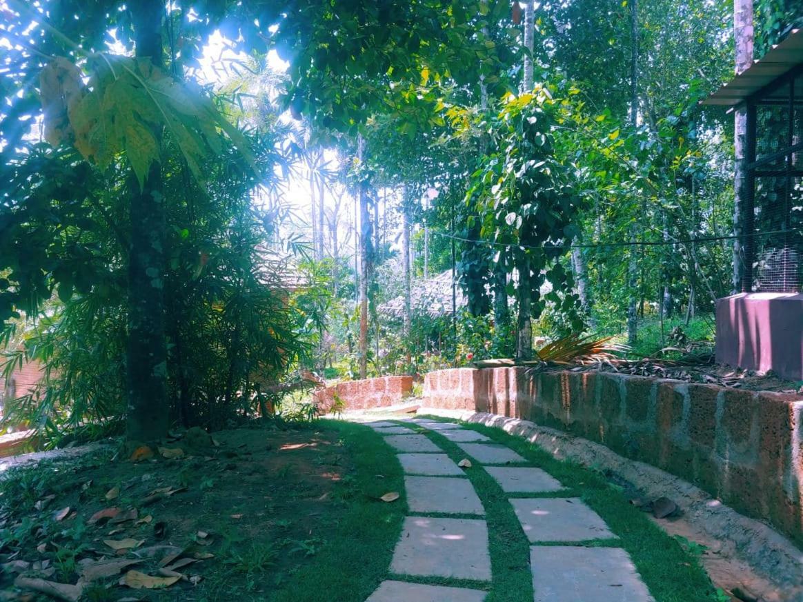 Misty Mornings Resort Ambalavayal Экстерьер фото
