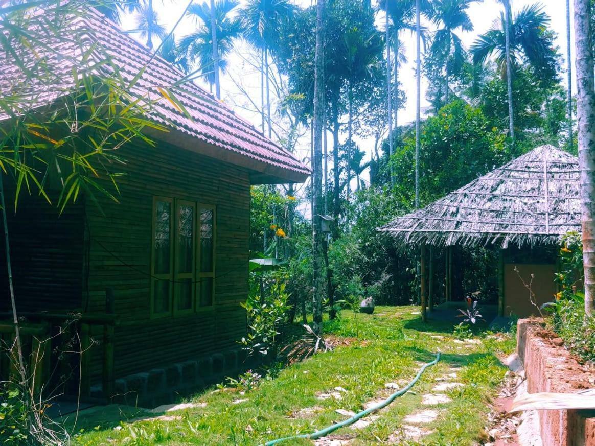Misty Mornings Resort Ambalavayal Экстерьер фото