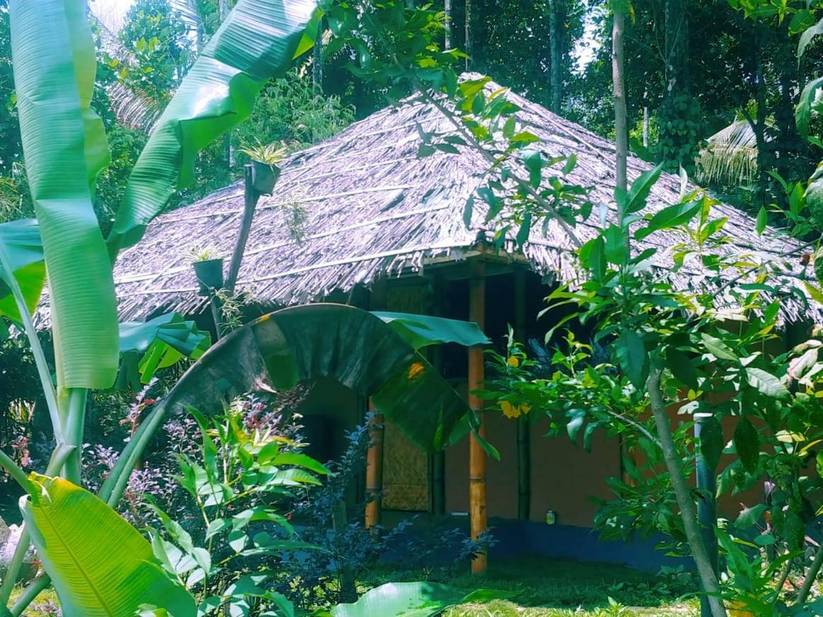 Misty Mornings Resort Ambalavayal Экстерьер фото